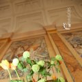 IMG_1343135