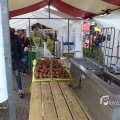 IMG_1350900