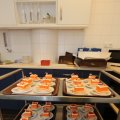 IMG_1344060
