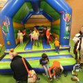 IMG_1346360