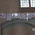 IMG_1348599