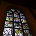 IMG_1348645