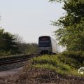 IMG_1348664