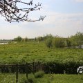 IMG_1348722
