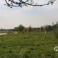 IMG_1348723