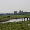 IMG_1348724
