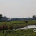 IMG_1348725
