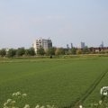 IMG_1348731