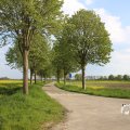 IMG_1348740
