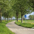 IMG_1348741