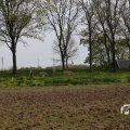 IMG_1348742