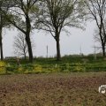 IMG_1348743