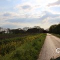 IMG_1348751