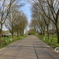 IMG_1348759