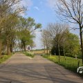 IMG_1348762