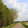 IMG_1348765