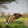 IMG_1348768