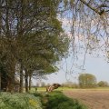 IMG_1348769