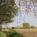 IMG_1348770