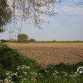 IMG_1348771