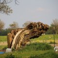 IMG_1348772