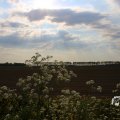 IMG_1348774