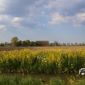 IMG_1348776