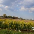 IMG_1348777