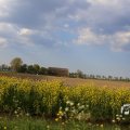 IMG_1348778