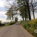 IMG_1348787