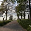 IMG_1348788