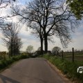IMG_1348790