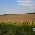 IMG_1348797