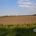 IMG_1348798