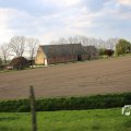 IMG_1348802