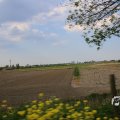 IMG_1348806