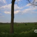 IMG_1348818