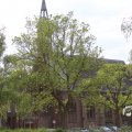 IMG_1348847