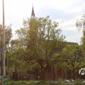 IMG_1348848