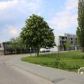 IMG_1348857