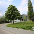 IMG_1348858