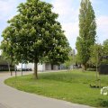 IMG_1348859