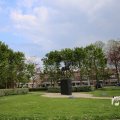IMG_1348865