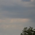 IMG_1348866
