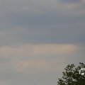 IMG_1348867