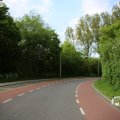 IMG_1348882
