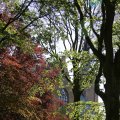 IMG_1348912
