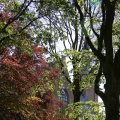 IMG_1348913