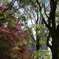 IMG_1348914