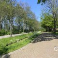 IMG_1348917